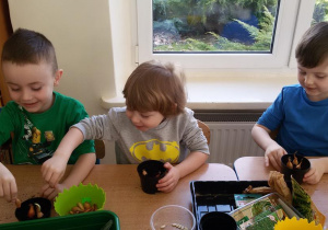 Widok na trzech chłopców, którzy sadzą w doniczkach z ziemią cebulki. Na stole stoi pojemnik z nasionami.